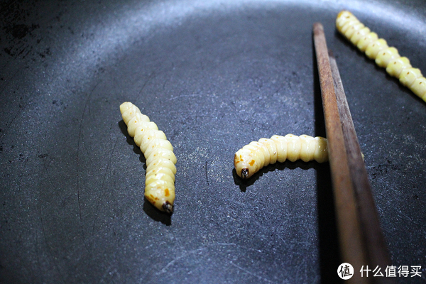 鸭脖官网登录